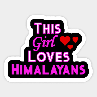 This Girl Loves Himalayans Sticker